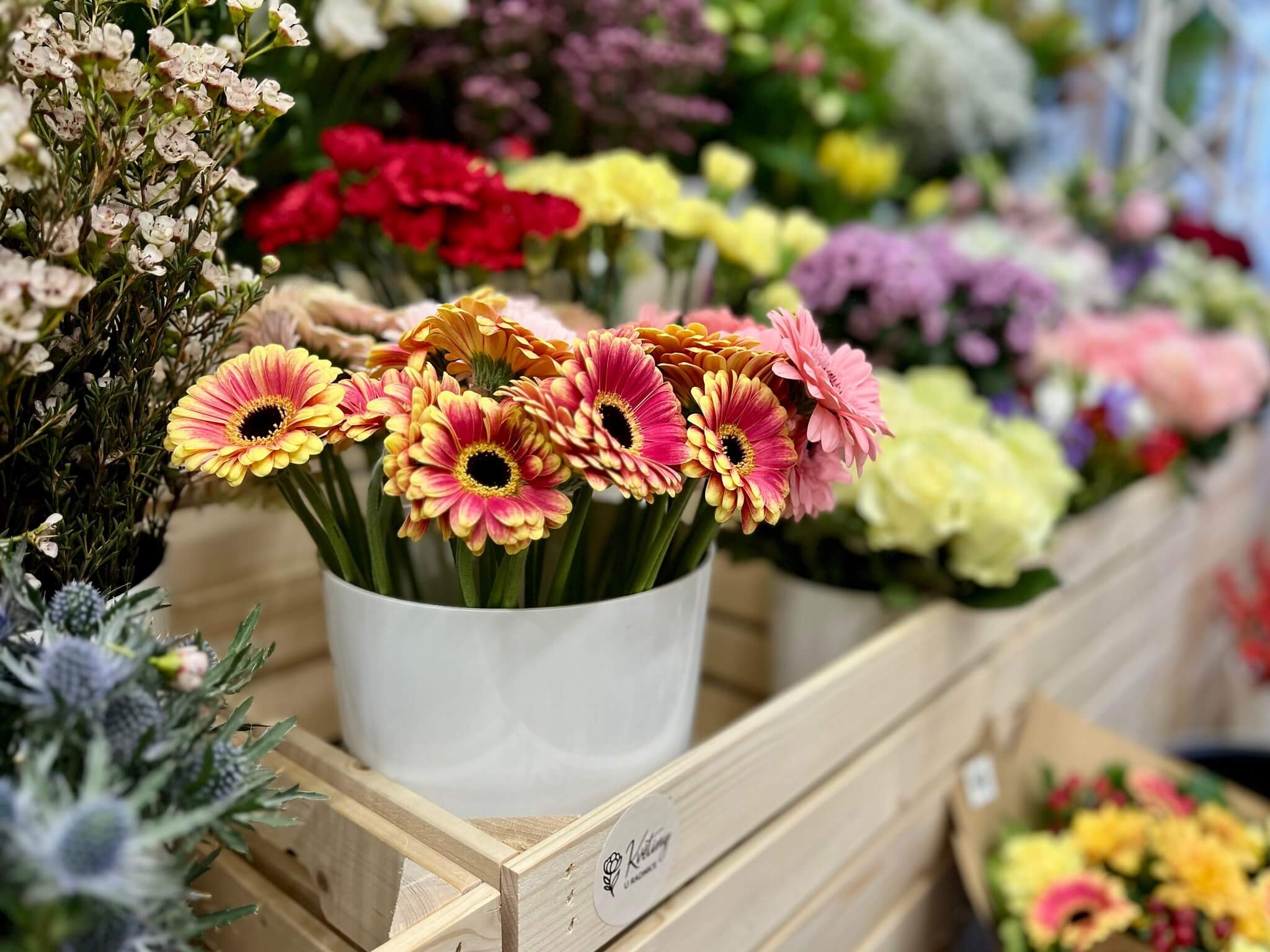 Speciální květinové aranžmá